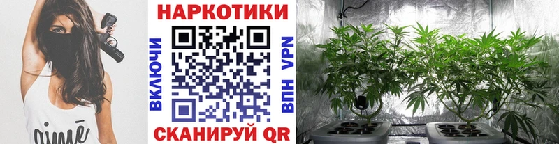 Магазины продажи наркотиков Бобров КОКАИН ОМГ ОМГ вход Меф СОЛЬ ГАШ Конопля